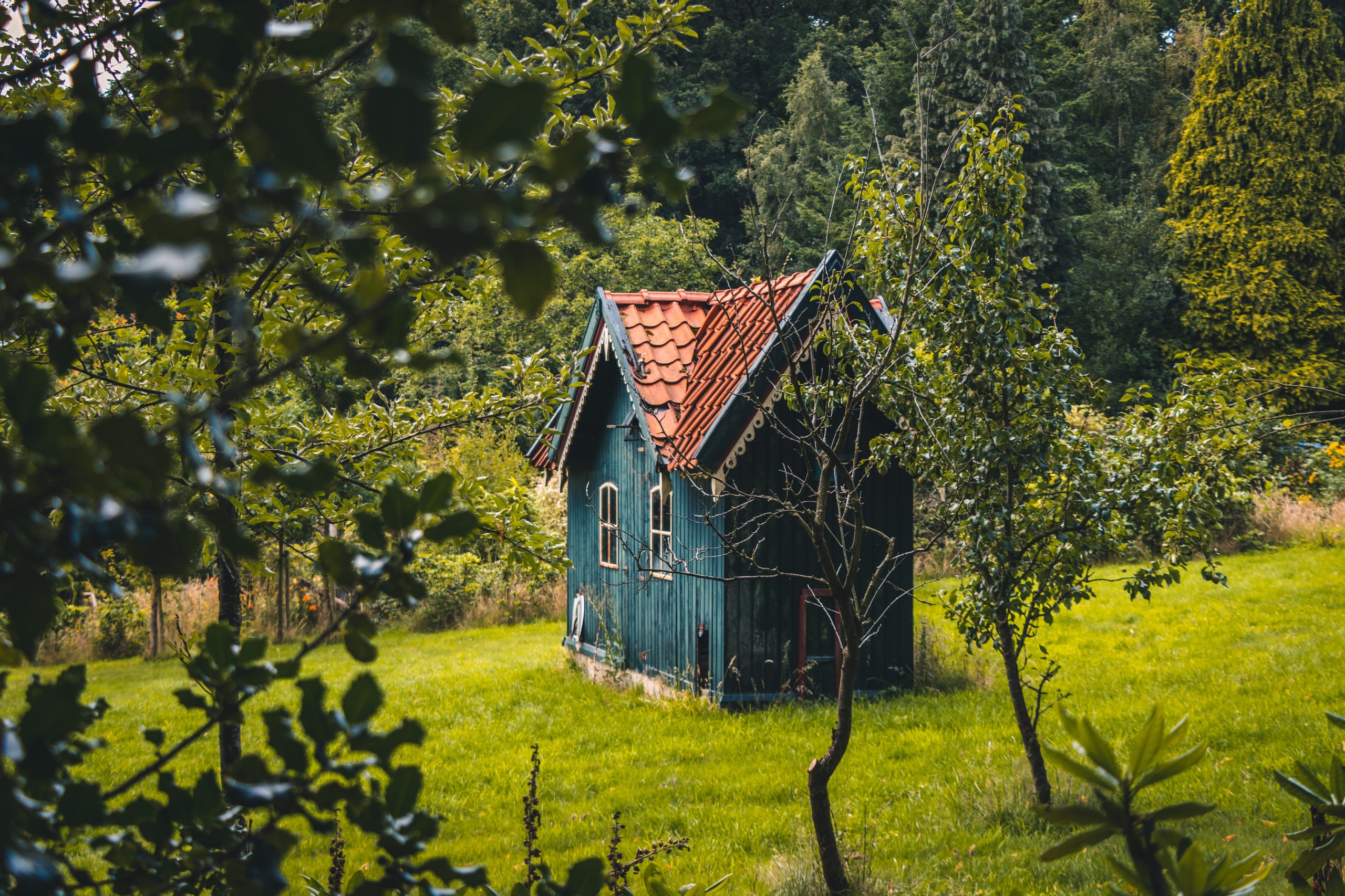 A little barn in the woods